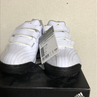 adidasスパイク　ミズノトレーニングシューズ