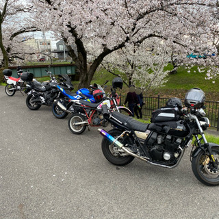 4/5（日）天下第一の桜！高遠城址公園へ！お花見のんびりツーリング