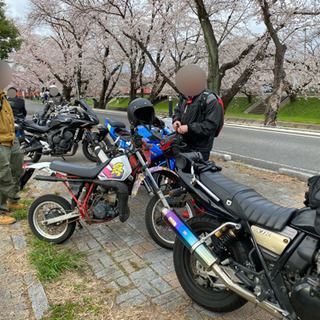 4/5（日）天下第一の桜！高遠城址公園へ！お花見のんびりツーリング − 愛知県