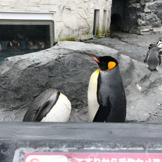貴重な北海道出身者で集まりましょう！
