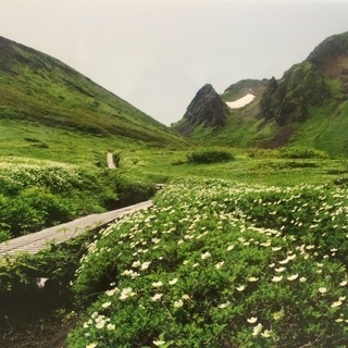 20代30代の同世代登山仲間募集(日帰り登山、山小屋泊、テント泊、雪山登山、トレランetc) - スポーツ