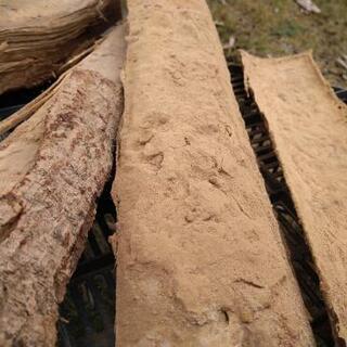 #コロナに負けるな！『アウトレット薪、差し上げます！（１世帯様２０kgまで）』茨城県潮来市。の画像