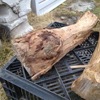 #コロナに負けるな！『アウトレット薪、差し上げます！（１世帯様２０kgまで）』茨城県潮来市。の画像