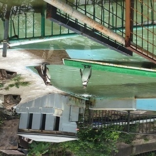 ◆3月31日　明日、かみね動物園に一緒に行ける方1名募集です☆