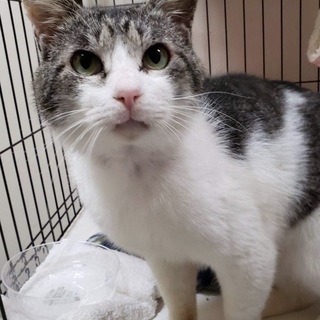 ひょうきんで甘えん坊のまーくん − 東京都