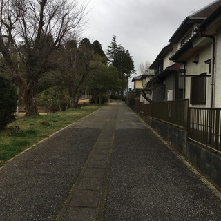 夜の散歩