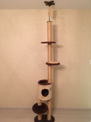 キャットタワー