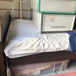 取りに来ていただける方に差し上げます。