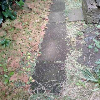 敷石の画像