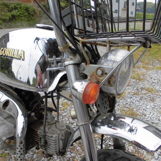 ゴリラバイクの画像
