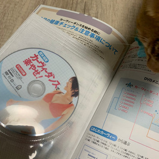 カーヴィーダンスで楽やせ　の画像