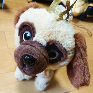 (同時購入限定)訳あり 犬のぬいぐるみ