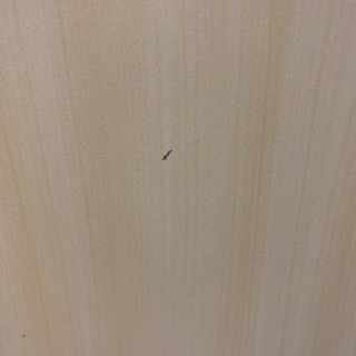 【ニトリ】可動式PCデスクの画像