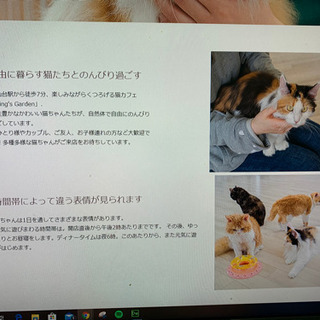 webデザインについて