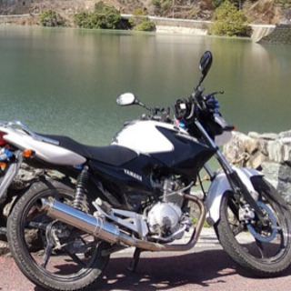YBR125売りますの画像