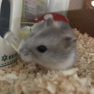 里親さん見つかりました