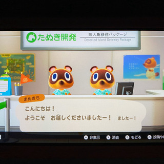 どうぶつの森通信しませんか？？