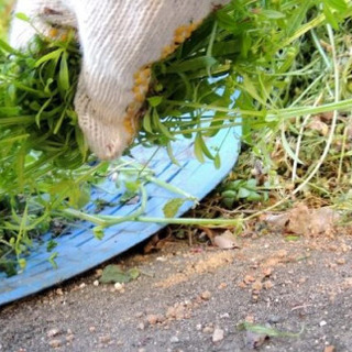 草むしり、草刈り・木の伐採は、「ライフワーク」にお任せください。