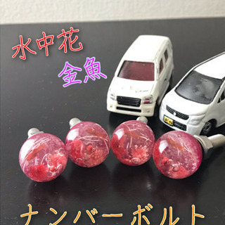 ★☆ナンバーボルト　４本（２本対応可）☆★