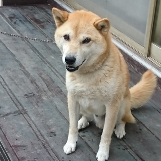 元気な男の子です！