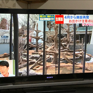 SONY 訳ありテレビ 引取先決まりました