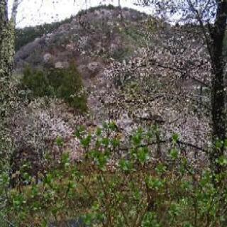 登山しましょーー＼(>_<)／