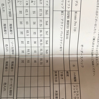 Mizuno PRO 719／NSPRO MODUS3 TOUR105の画像