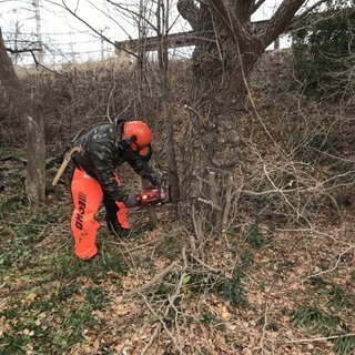チェンソー有資格者　伐採・草刈り　処分までワンストップ　 − 宮城県