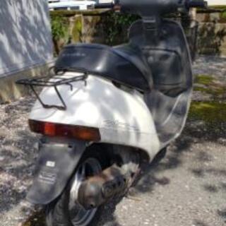 ホンダタクトAF16の画像
