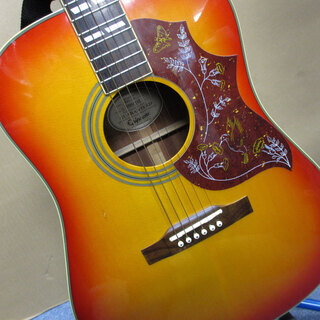 EPIPHONE エピフォン ハミングバード  ギターの画像