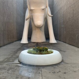⭐青森県雑談(オプチャ)