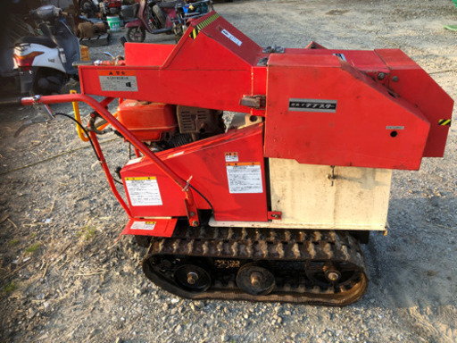 カルイチプスター(お話し中)