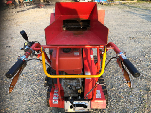 カルイチプスター(お話し中)