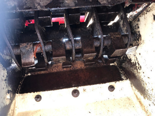 カルイチプスター(お話し中)