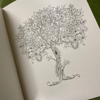 値下げ☆ひみつの花園塗り絵の画像