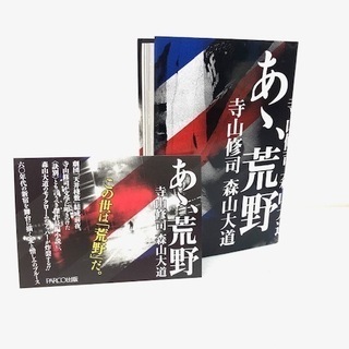 ☆新品☆ あゝ荒野　寺山修司　森山大道　特装版　限定50部　古書 の画像