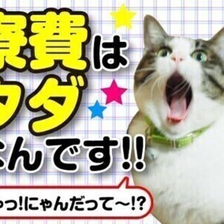 東京都/東久留米市/日勤専属/釣り具の組立・検査 株式会社ワール...