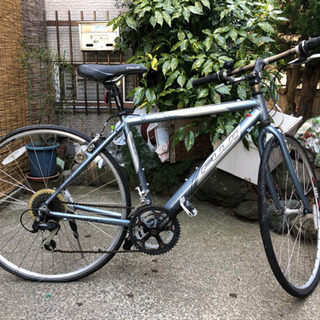 fuji absolute DX 受付終了の画像