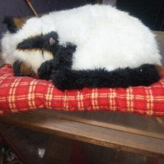 置き物(一つ千円、まとめてだと三千円)の画像