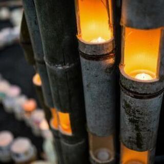 タロット占い仲間募集