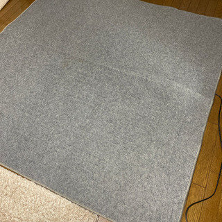 （決まりました）電機カーペット ホットカーペット