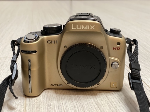 パナソニック　LUMIX DMC-GH1 ボディ Panasonic