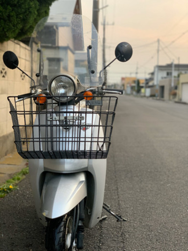 大型バスケット、ウィンドスクリーン付きAF61