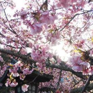 🌟🌟社会人限定:チャリで万博公園まで⭐️⭐️