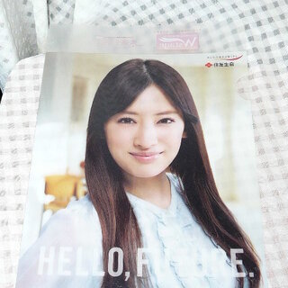 北川景子　クリアファイル　あなたの未来を強くする　住友生命　非売...