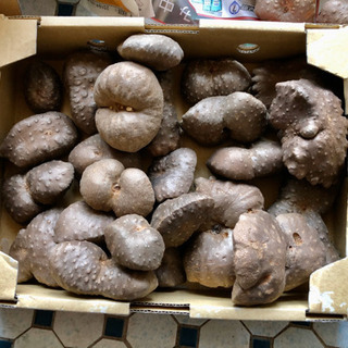 宇宙芋　無農薬  箱体込み約1kg