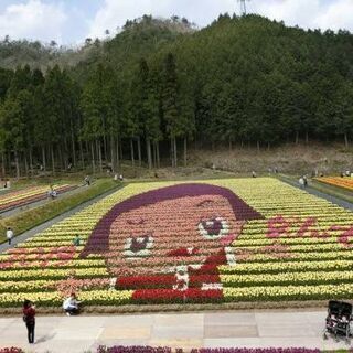 女性多数参加してます!日帰り旅行サークル✨ 週末サークル！旅好き...