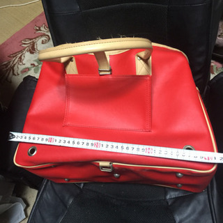 大幅❗️お値下げ❗️ブランド物❗️小型犬用キャリーバッグの画像