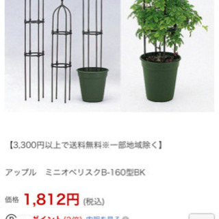 新品未使用！ばら用オベリスク