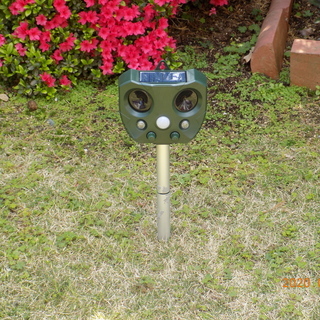ソーラー電池式動物・鳥類よけ器（美品）の画像